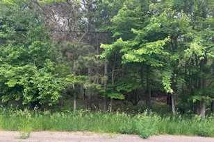 Vl W Bard Road Rd, Muskegon, MI 49445 - Photo 1