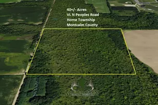 Vl Peoples Rd, Edmore, MI 48829 - Photo 1