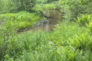 4901 S Spruce Ave, Newaygo, MI 49337 - Photo 1