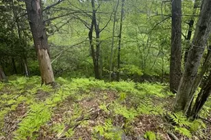 1750 Maple Point Rd, Beaverton, MI 48612 - Photo 1