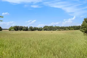 Vl M-66, Mendon, MI 49072 - Photo 1