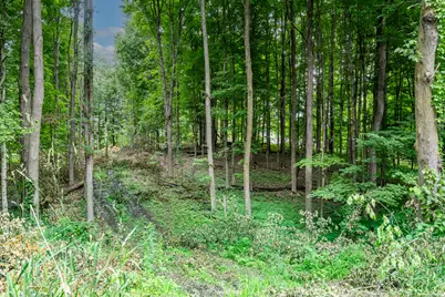 0 Dutch Settlement Street, Vandalia, MI 49095 - Photo 1