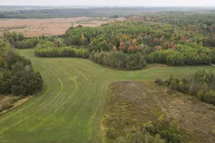 11048 Wilson Rd Rd, Marion, MI 49665 - Photo 1