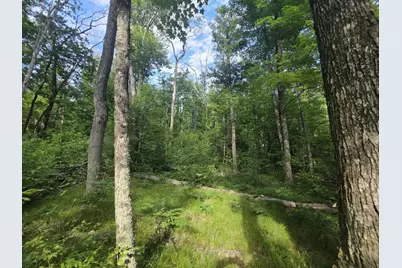 Michland Path, White Cloud, MI 49349 - Photo 1