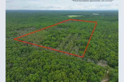 7376 W 7 Mile Road, Irons, MI 49644 - Photo 1