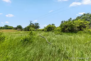 V/L Staley Rd, Lyons, MI 48851 - Photo 1