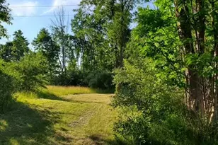 1711 14 Mile Rd, Marion, MI 49665 - Photo 1