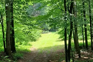 Collier Ave, Battle Creek, MI 49017 - Photo 1