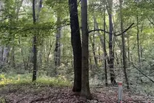 Romeyn Woods, Middleville, MI 49333 - Photo 1
