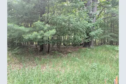 V/L Tamarack Road, Ludington, MI 49431 - Photo 1