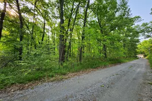 V/L Hall Rd, Muskegon, MI 49442 - Photo 1