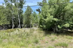 2 Seymour, Onekama, MI 49675 - Photo 1