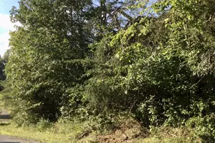 Pine Lake Rd, Battle Creek, MI 49014 - Photo 1