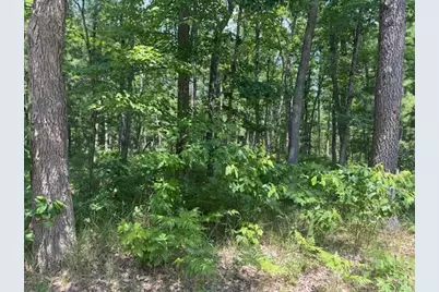 Vl Cleveland Drive, Bitely, MI 49309 - Photo 1