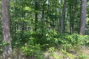 Vl Cleveland Dr, Bitely, MI 49309 - Photo 1