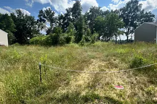 17915 Bluff Dr, Three Rivers, MI 49093 - Photo 1