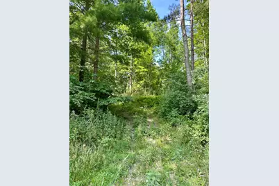 V/L E Decker Road, Branch, MI 49402 - Photo 1