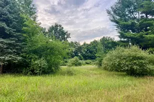 1143 38th St, Allegan, MI 49010 - Photo 1