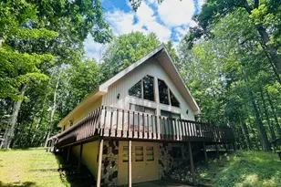 12120 Halifax, Canadian Lakes, MI 49346 - Photo 1