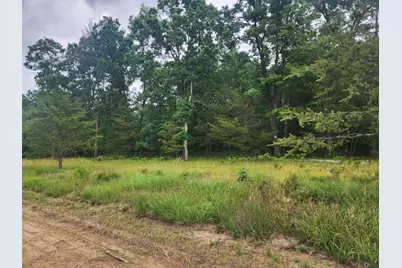 Parcel B W 16th Street, Baldwin, MI 49304 - Photo 1