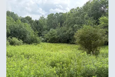 11546 E 3 1/2 Mile Road, Luther, MI 49656 - Photo 1