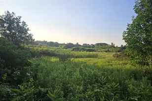 6635 Schnurr Ln, Middleville, MI 49333 - Photo 1