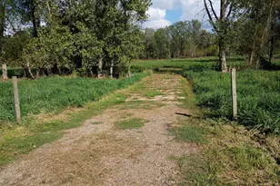 V/L 60 1/2 St, Bangor, MI 49013 - Photo 1