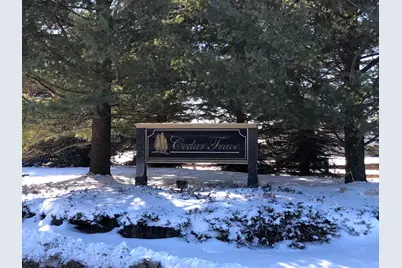 6186 Cedar Trace #44, Canadian Lakes, MI 49346 - Photo 1