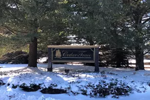 6186 Cedar Trce, Canadian Lakes, MI 49346 - Photo 1