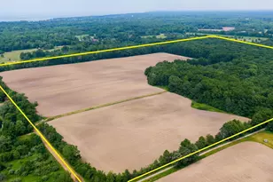 19701 Kluver Rd, New Buffalo, MI 49117 - Photo 1