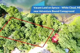 Vacant S Spruce Ave, White Cloud, MI 49349 - Photo 1