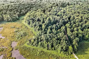 Kirkshire Dr, Delton, MI 49046 - Photo 1