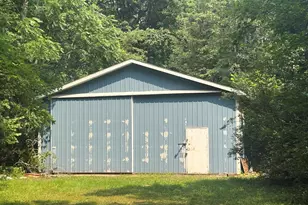 Wildwood Rd, Shelbyville, MI 49344 - Photo 1