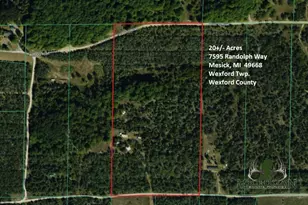 7595 Randolph Way, Mesick, MI 49668 - Photo 1