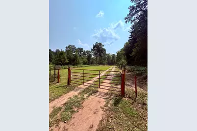 1 River Road, Brethren, MI 49619 - Photo 1
