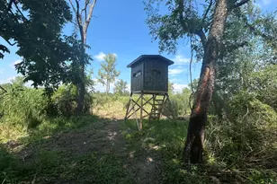 0 M Dr S, Homer, MI 49245 - Photo 1