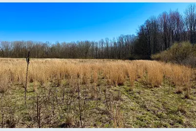 Lot 9 Foster Lane, South Haven, MI 49090 - Photo 1