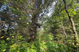 3130 E Riley-Thompson Rd, Twin Lake, MI 49457 - Photo 1