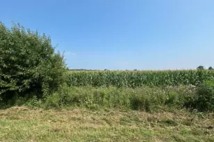 0 V/L W Reading Rd, Hillsdale, MI 49242 - Photo 1