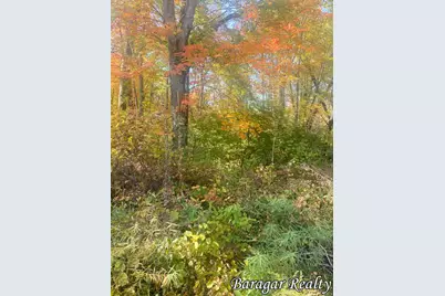 9035 N 23 Avenue, Bitely, MI 49309 - Photo 1