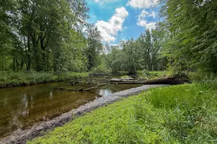 548 Stakes Rd, Gowen, MI 49326 - Photo 1