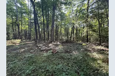 4187 S Forman Road, Baldwin, MI 49304 - Photo 1