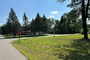 V/L N Brown St, Jackson, MI 49202 - Photo 1