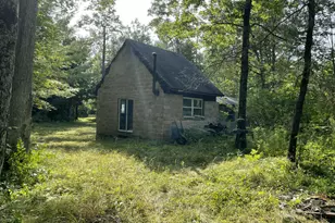 00 Laverne Rd, Wellston, MI 49689 - Photo 1