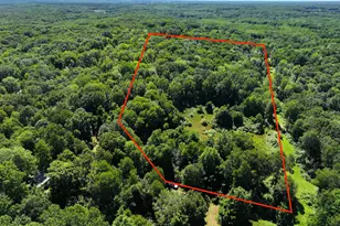 V/L 10 45A Campbell Rd, Branch, MI 49402 - Photo 1