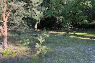 10616 S Walnut Rd, Grant, MI 49327 - Photo 1