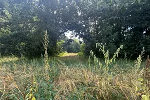 0 V/L M-66, Athens, MI 49011 - Photo 1