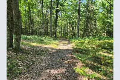 231 W Runway Drive, Luther, MI 49656 - Photo 1