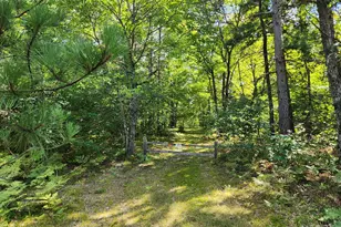 Par 2 Wilderness Trail, Luther, MI 49656 - Photo 1
