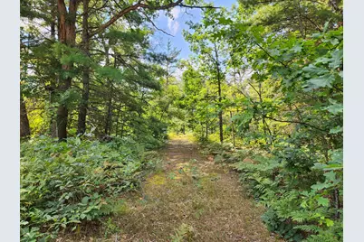 Par 1 Wilderness Trail, Luther, MI 49656 - Photo 1